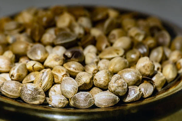 Hemp Seeds Metal Plate Close — Stock Photo, Image