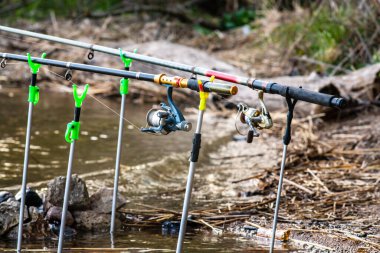 Oltaların ucunda olta olan makaralar. Kapat..
