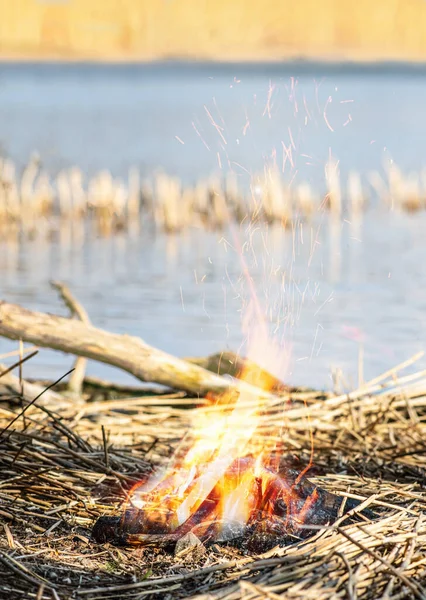 在岸上用干枯的芦苇对着水体营火 — 图库照片