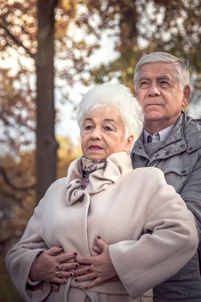 beautiful happy old people sitting in the autumn park