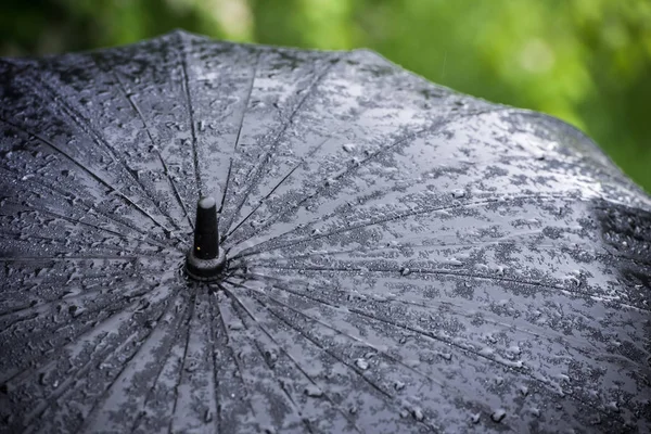 Big black umbrella in rain drops against a background of green g