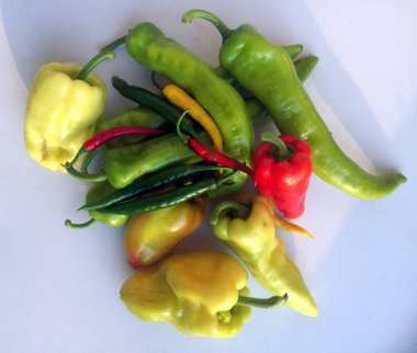 Çeşitli Macar kırmızı biber kırmızı yeşil sarı renkli