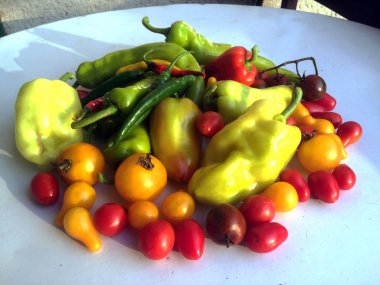 Kırmızı yeşil sarı renkli çeşitli Macar kırmızı biber ve domates