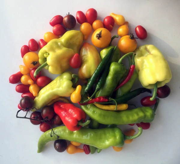 Legumes coloridos tomates e páprica no fundo do estúdio branco — Fotografia de Stock