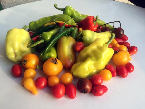 Légumes colorés tomates et paprika sur fond de studio blanc — Photo