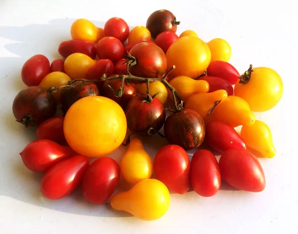 Vícebarevný, že různé rajčata včetně žluté a červené — Stock fotografie