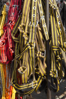 Atlar için yular ekipman ve atlılar Satılık el yapımı 