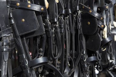 Atlar ve atlılar atlı arabası donatımı