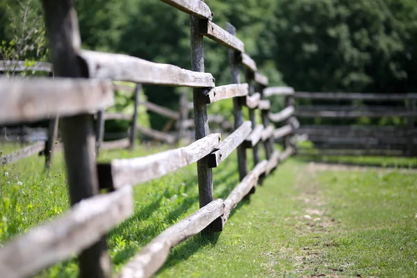 Cerca de estilo rústico que divide una pradera verde cubierta de hierba —  Fotos de Stock