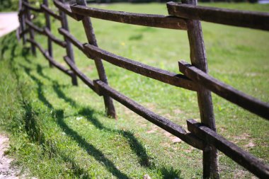 Hayvan çiftliği yaz eski uzun corral çitin arkasına adamlar