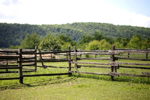 Primo piano di recinzione in legno su un terreno agricolo recintato scenario rurale — Foto Stock