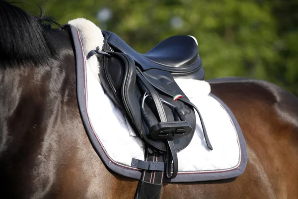 Bonito esporte sela closeup no show jumping treinamento — Fotografia de Stock