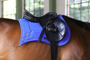 Güzel yeni deri eyer hall sürme içinde biniciler için sırtında