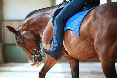 Bilinmeyen sürücü terbiyesi eğitim üzerinde oturup eyer