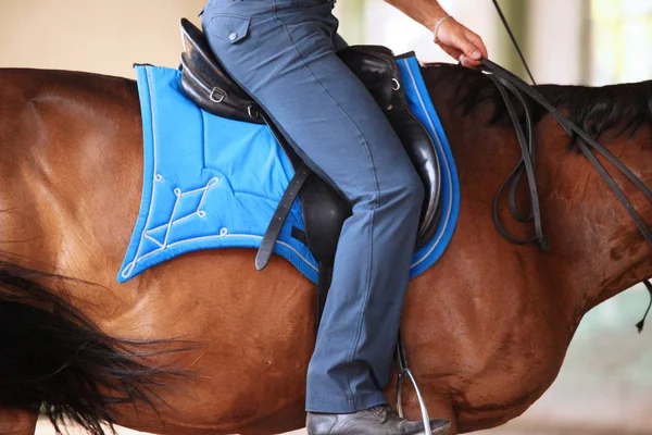 Cavaliere maschio non identificato sta addestrando un giovane stallone di razza pura — Foto Stock