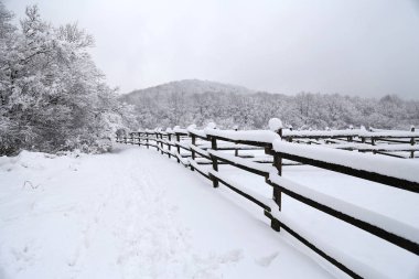 Karlı corral çit kış arka plan panoramik fotoğraf olarak