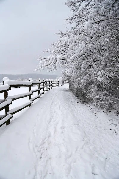 Vertikale Aufnahme der Wintergehege-Landschaft — Stockfoto