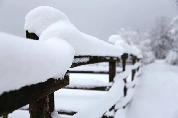 雪の降る冬のフェンスの極端なクローズ アップ — ストック写真