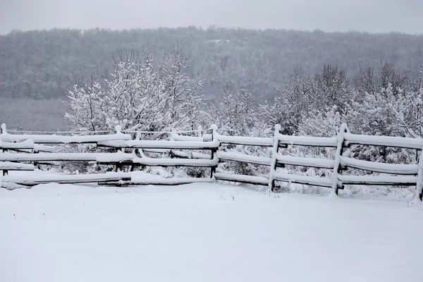 Fabulous winter landscape with fresh snow on rural wooden fence