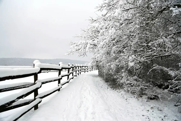 Detailní záběr na zasněžených ohrady Poláci jako pozadí zimní Stock Fotografie
