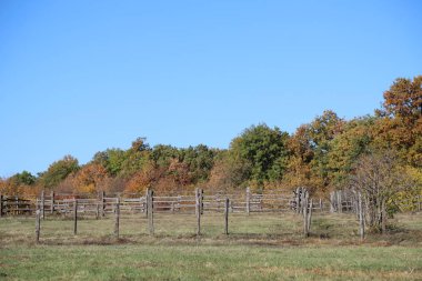 Kırsal hayvan çiftliğinde sonbahar renkleri