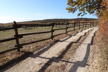 Güzel bir sonbahar havasında bir at çiftliği.