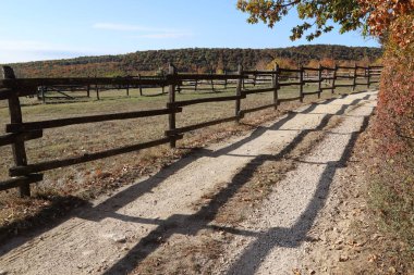 Kırsal hayvan çiftliğinde sonbahar renkleri