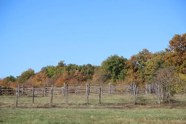Herfstkleuren op het platteland van een landelijk dierenbedrijf — Stockfoto