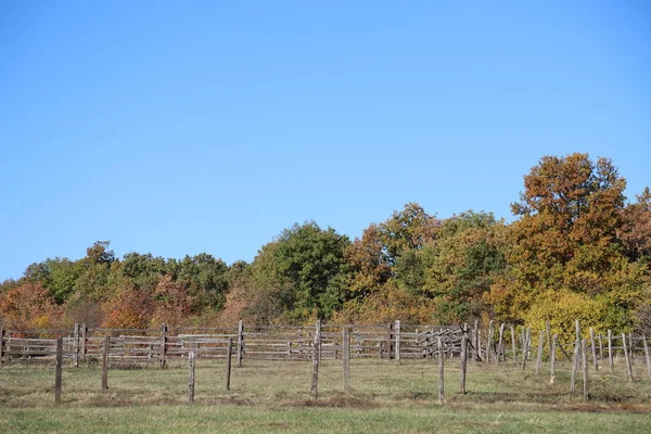 Herfstkleuren op het platteland van een landelijk dierenbedrijf — Stockfoto