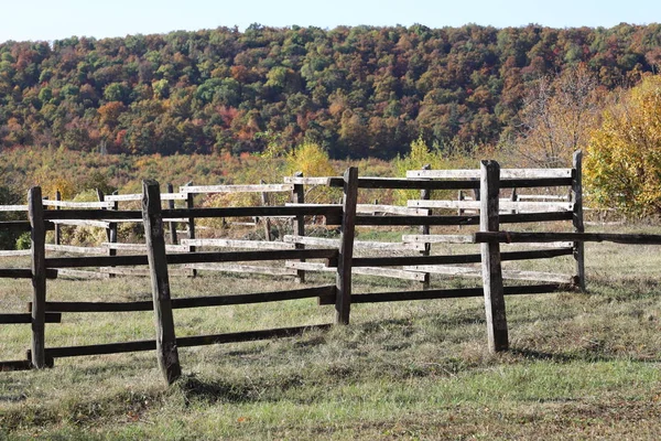 Herfstkleuren op het platteland van een landelijk dierenbedrijf — Stockfoto