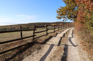 Kırsal hayvan çiftliğinde sonbahar renkleri