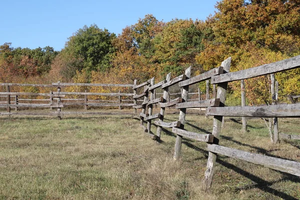 Een paardenboerderij langs de weg in prachtige herfststemming — Stockfoto