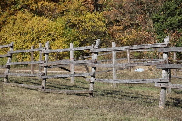 Uma fazenda de cavalos ao longo da estrada em belo clima de outono — Fotografia de Stock