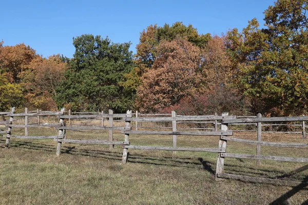 Een paardenboerderij langs de weg in prachtige herfststemming — Stockfoto