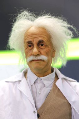 Bir bilim sergisinde Albert Einstein 'ın başı.
