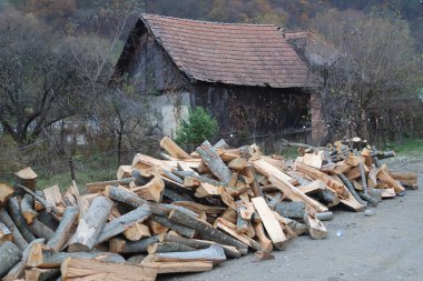 Yakacak odun kesilir ve kurutulur.