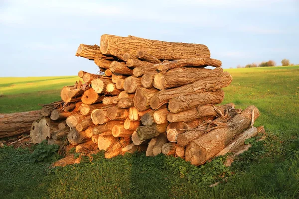 Brennholz zum Trocknen gehackt und gestapelt — Stockfoto