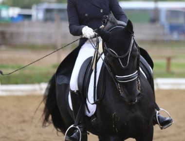 Bilinmeyen yarışmacı binicilik zeminde dressage at etkinliğinde sürmek