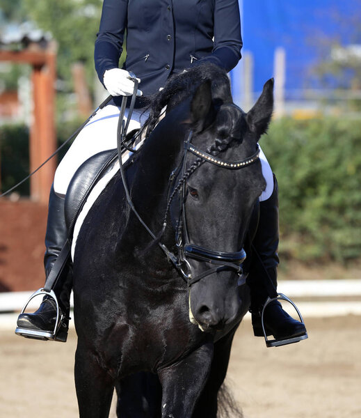 Unknown contestant rides at dressage horse event in riding ground