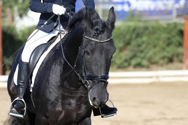 乗馬場でのドレッシング馬のイベントで未知の競技者の乗り物 — ストック写真