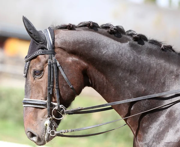 Неизвестный участник едет на соревнованиях по выездке на лошадях — стоковое фото