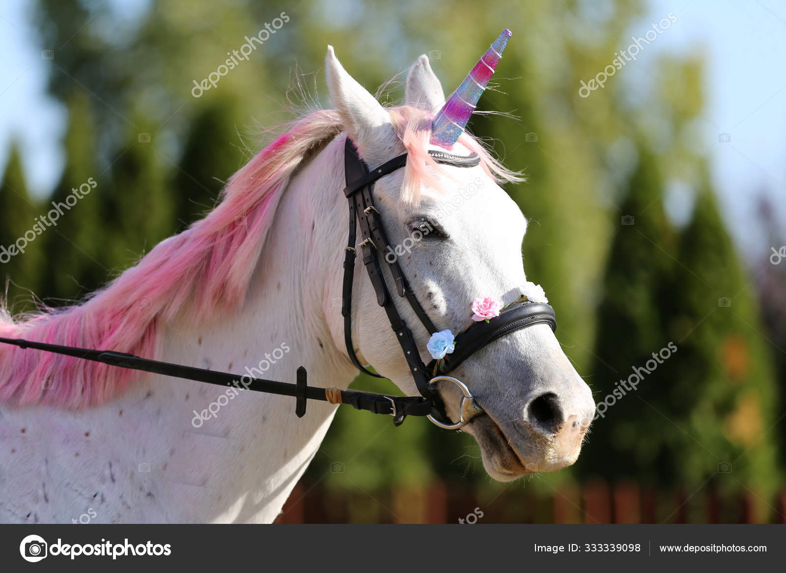 Beautiful magical unicorn horse realistic photography Stock Photo ...