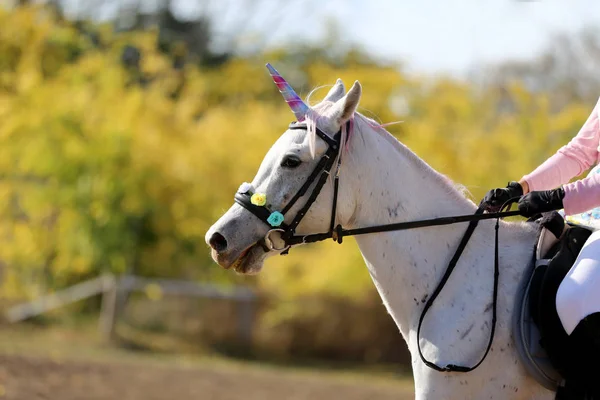 Fondo mágico con caballo unicornio de color blanco realista — Foto de Stock