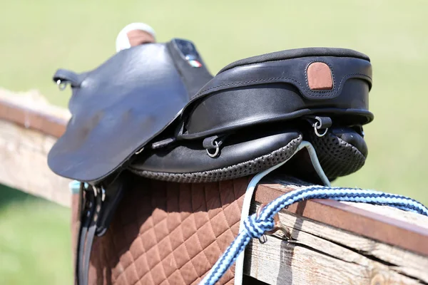 Show jumper horse under saddle waiting for rider on equestrian event — 스톡 사진