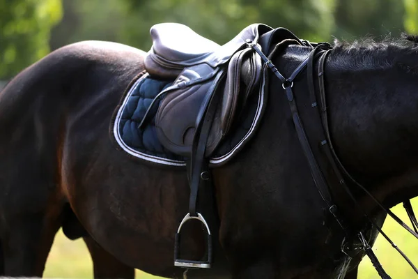 Fechar Cavalo Abaixo Velha Sela Jumper Couro Competição Fundo Desportivo — Fotografia de Stock