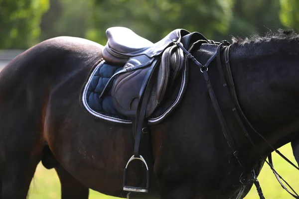 Zbliżenie konia pod starym skórzanym siodłem skoczka na zawodach — Zdjęcie stockowe