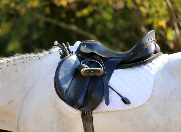 Fechar Cavalo Abaixo Velha Sela Jumper Couro Competição Fundo Desportivo — Fotografia de Stock