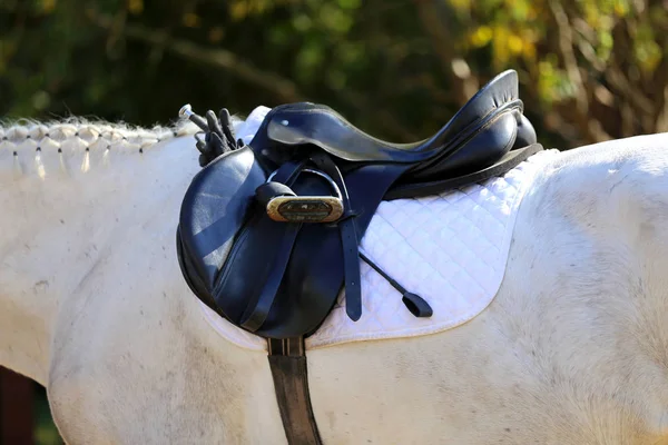 Närbild av en häst under gammal läder jumper sadel på konkurrens — Stockfoto