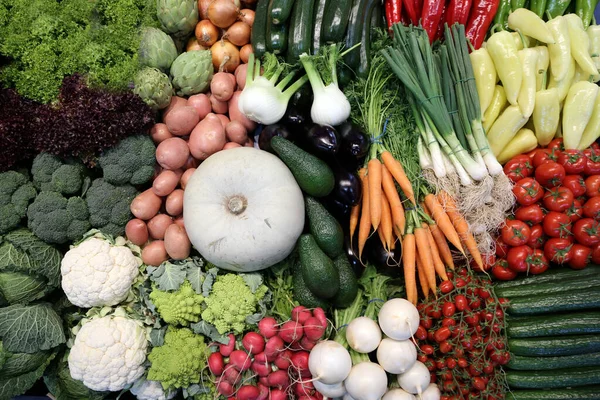 Group of various vegetables and as background. Agricultural products as a background. Healthy organic harvest vegetables as seasonal kitchen ingredients for sale at farmers market