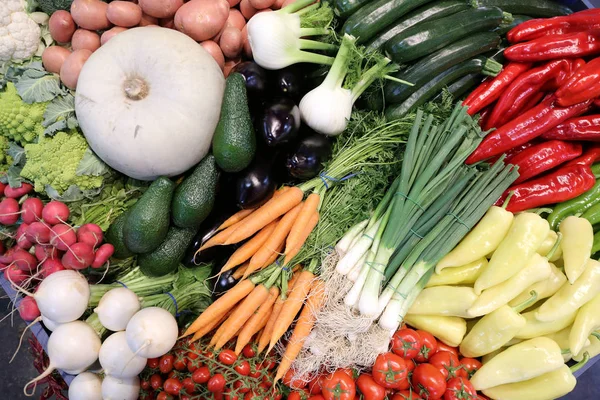 Group of various vegetables and as background. Agricultural products as a background. Healthy organic harvest vegetables as seasonal kitchen ingredients for sale at farmers market